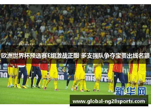 欧洲世界杯预选赛E组激战正酣 多支强队争夺宝贵出线名额