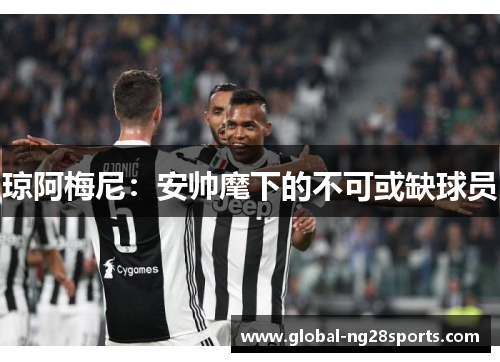 琼阿梅尼：安帅麾下的不可或缺球员