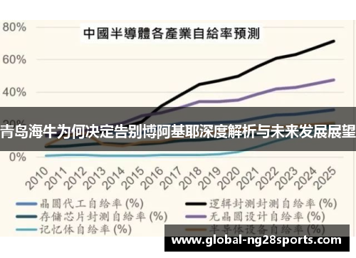 青岛海牛为何决定告别博阿基耶深度解析与未来发展展望