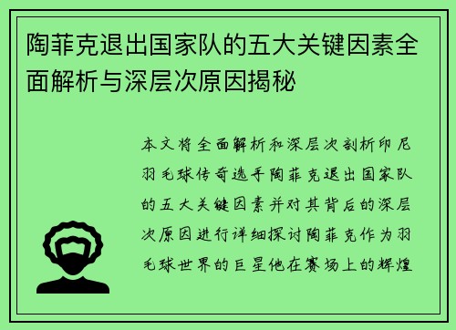 陶菲克退出国家队的五大关键因素全面解析与深层次原因揭秘